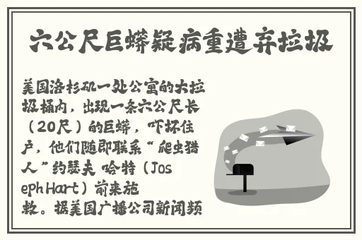 亚洲m码欧洲v码的区别